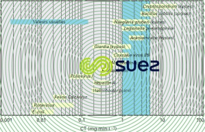 Désinfection ozone valeurs CT inactivation 2 log micro-organismes