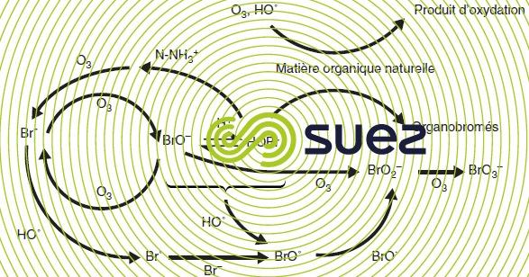 réactions ions bromures ozonation eaux naturelles