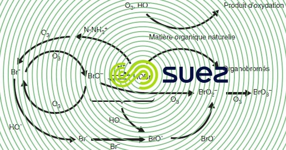 réactions ions bromures ozonation eaux naturelles