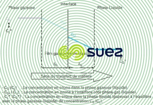 modèle double film Lewis et Whitman