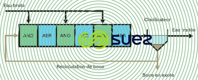 alimentation étagée