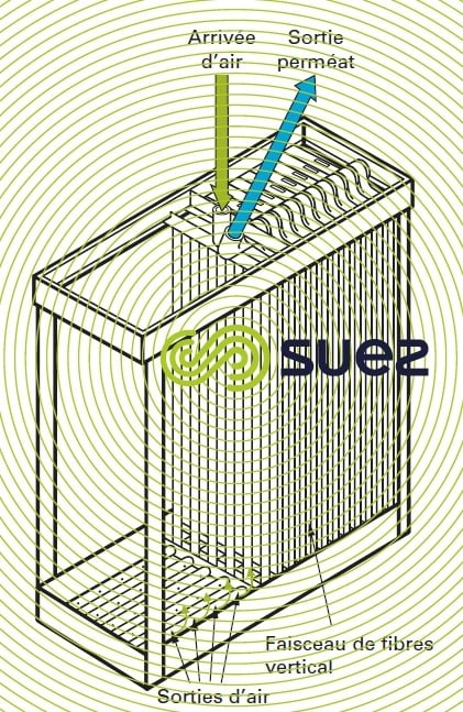 cassette fibres creuses peau externe - Exemple