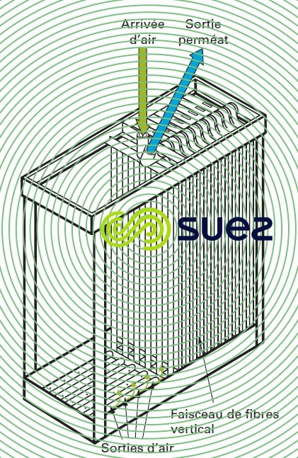 cassette fibres creuses peau externe - Exemple