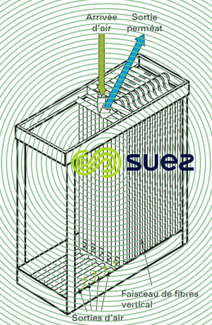 cassette fibres creuses peau externe - Exemple