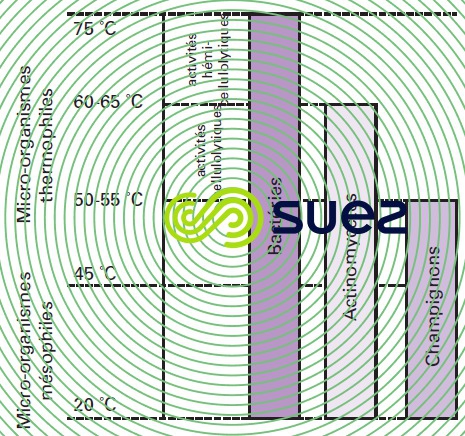 Micro-organismes actifs compostage