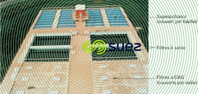 Morsang-sur-Seine algues élimination