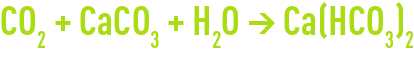 Formule : Reminéralisation par CO2 + calcaire