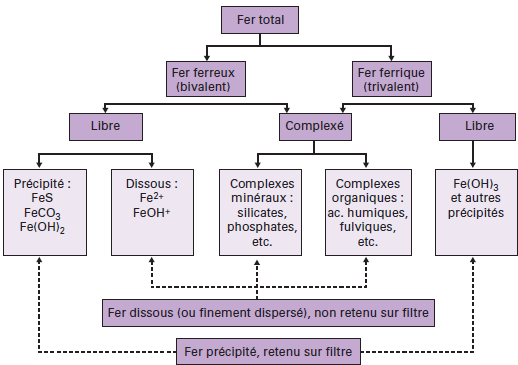Set de Comprimés de purification de l'eau Ef-Chlor® - 100 pièces - Pack complet pour