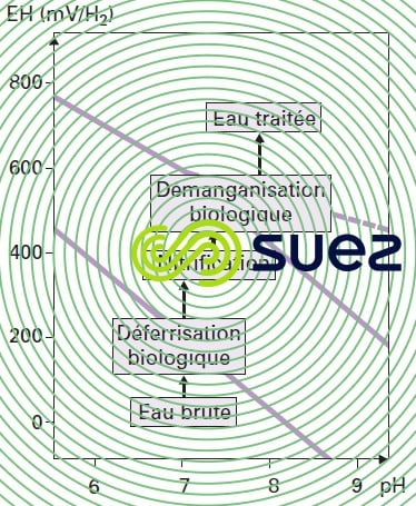 traitement eau Fe2+NH4+ Mn2+