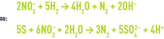 Formule : Les procédés biologiques de dénitrification - bactéries autotrophes