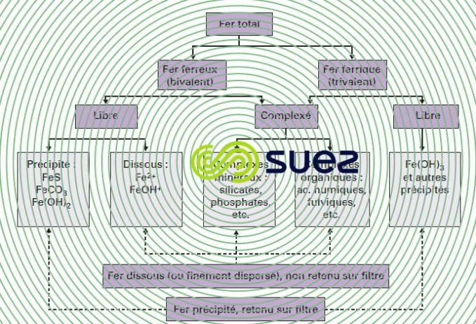 Formes existence fer eau