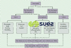 Formes existence fer eau