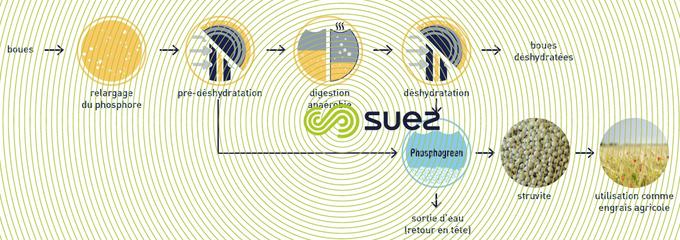 exemple d'application phosphogreen